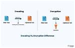 What Is Encoded for Encoding?
