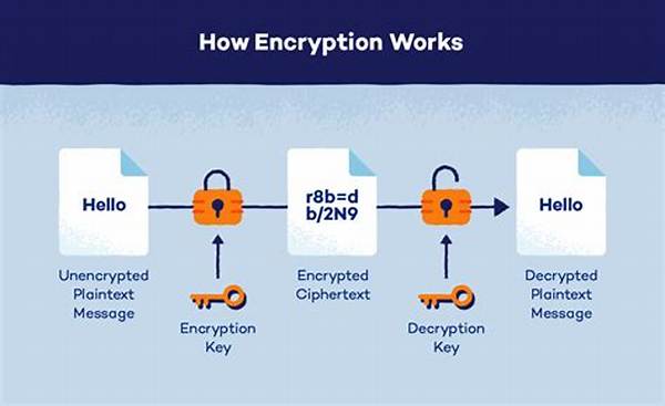 What Is Encrypted and Decrypted?