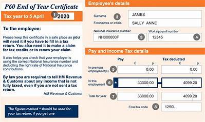 What Is Final Tax Code on P60?