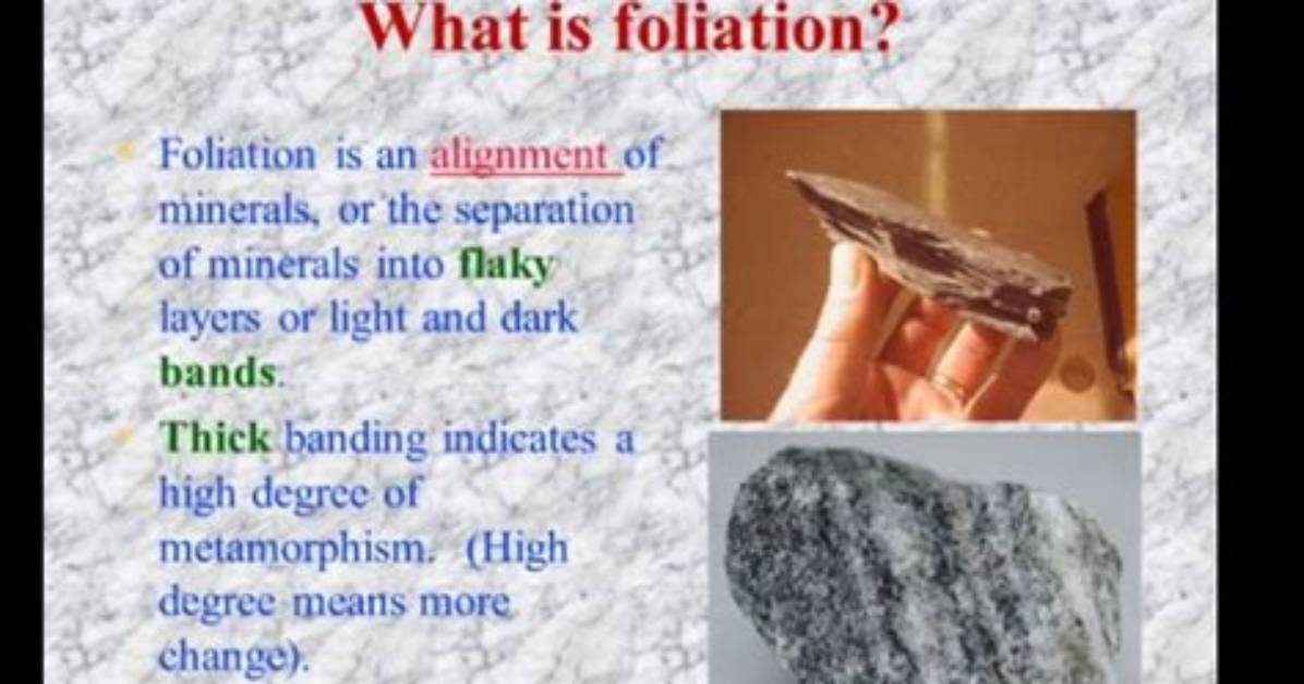 What Is Foliation? - Lisbd-Net. Com