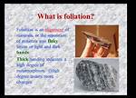 What Is Foliation? - Lisbd-Net. Com