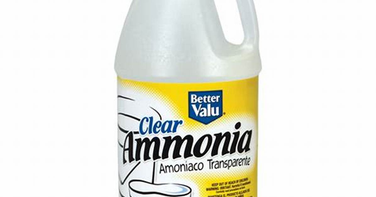 What Is Household Ammonia