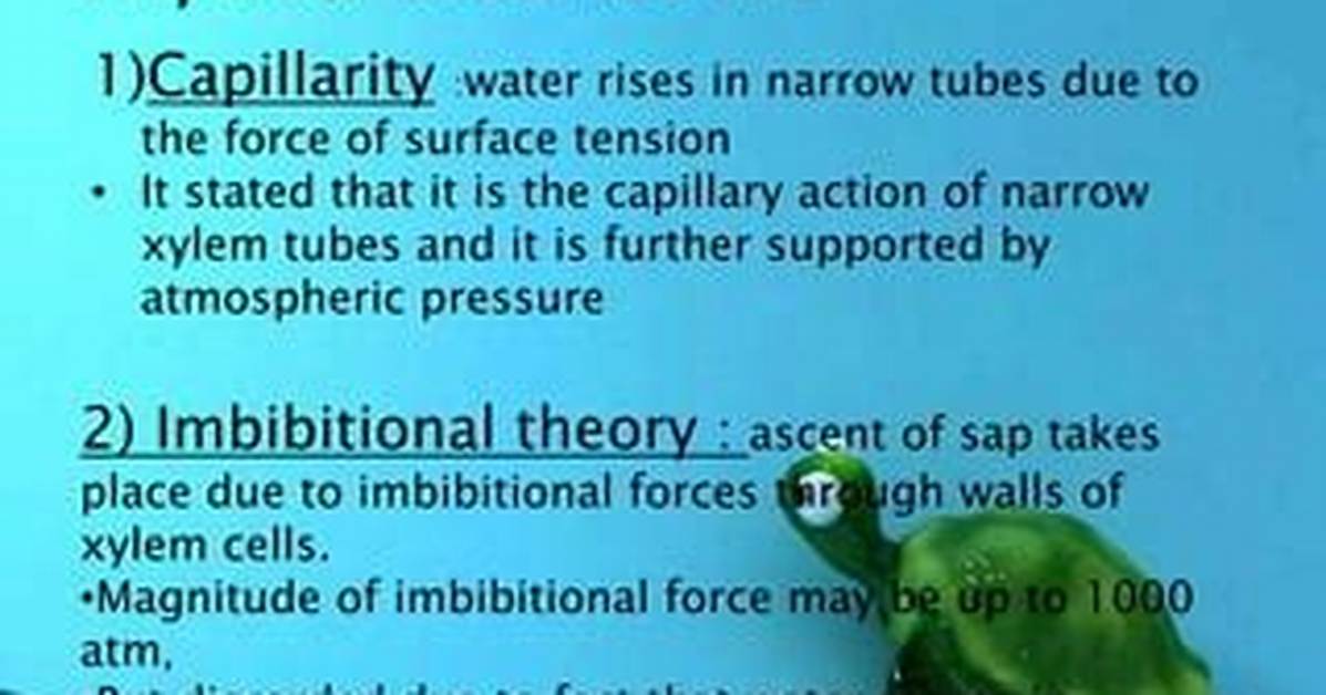 What Is Imbibitional Pressure?