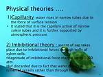 What Is Imbibitional Pressure?