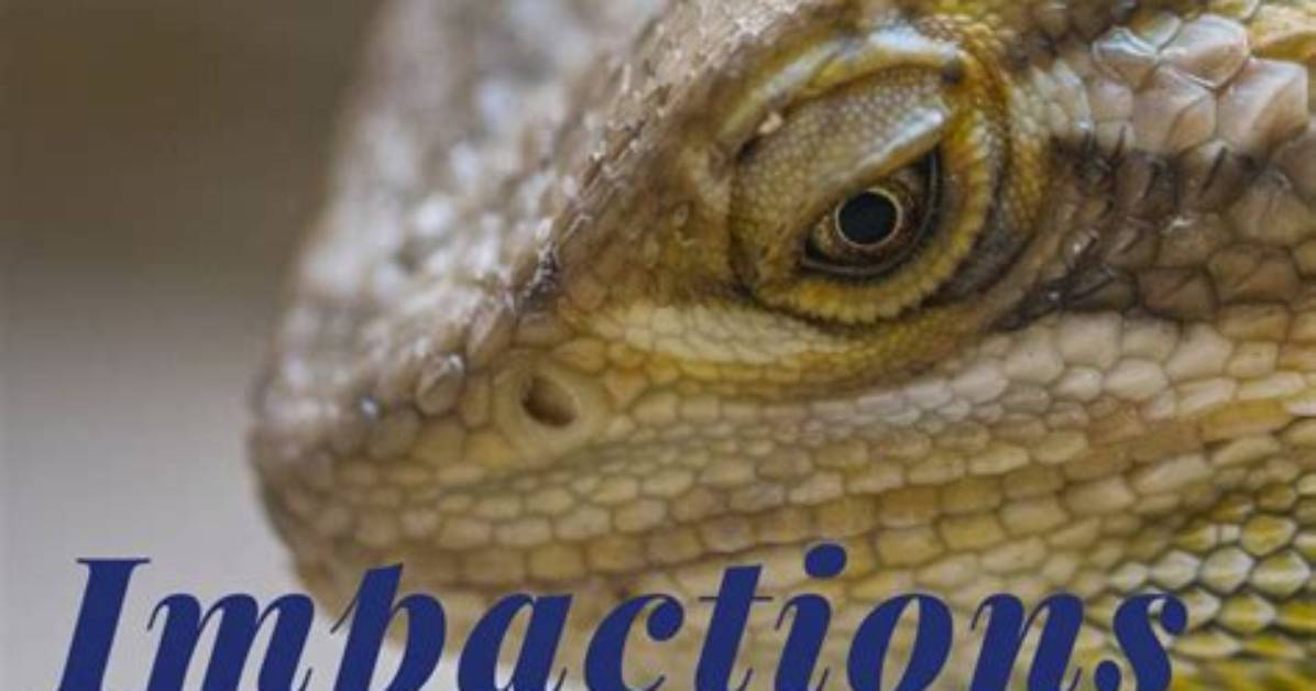 What Is Impaction in Reptiles?