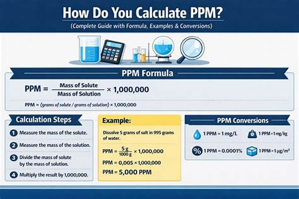 What Is It Called When You Calculate in Your Head?