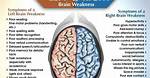 What Is Left Brain Weakness?