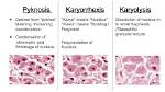 What Is Meant by Pyknosis?