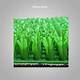 What Is Miner's Moss? | Homesteady