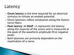 What Is Nerve Latencies?