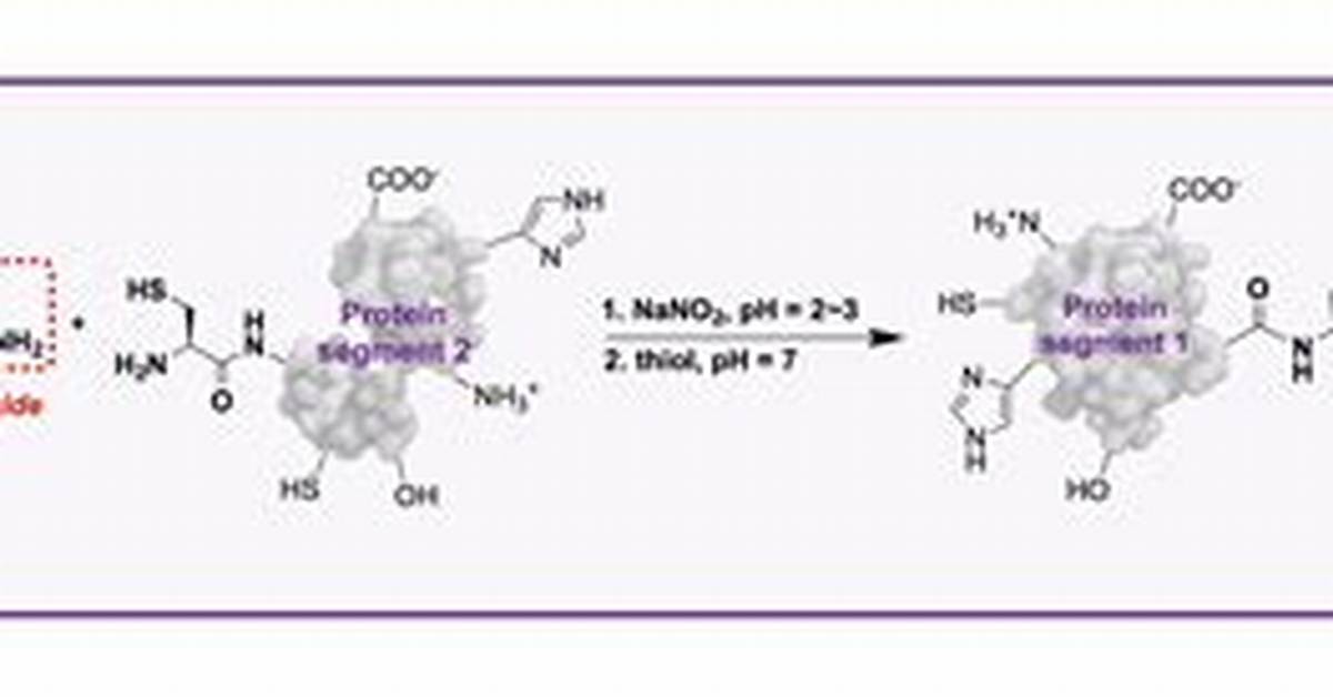 What Is Novo Hydrazide Used for?