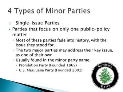 What Is One Effect That Minor Parties Have on the American Political System Quizlet?