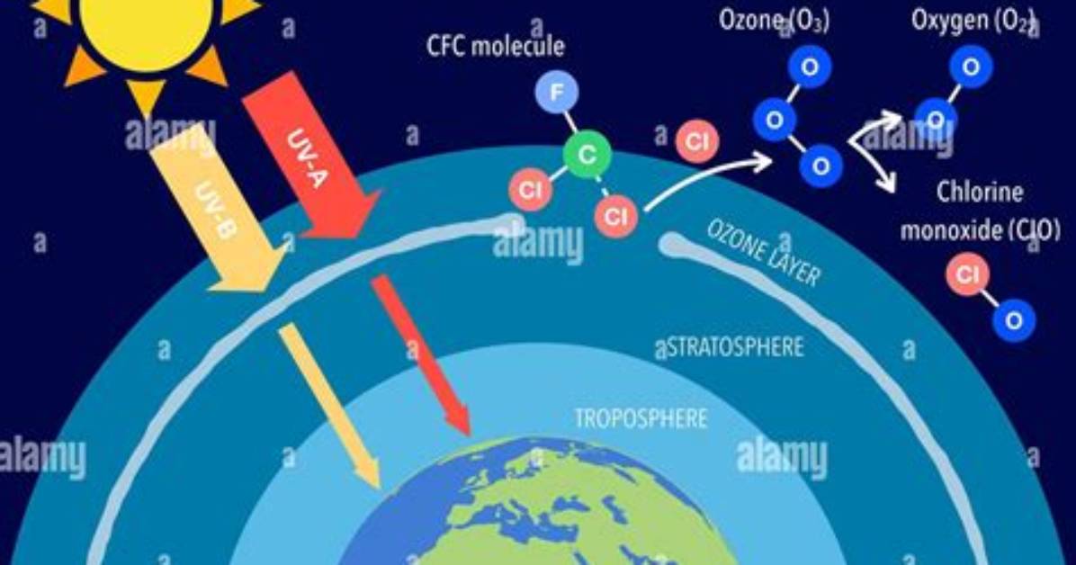 What Is Ozone Layer?