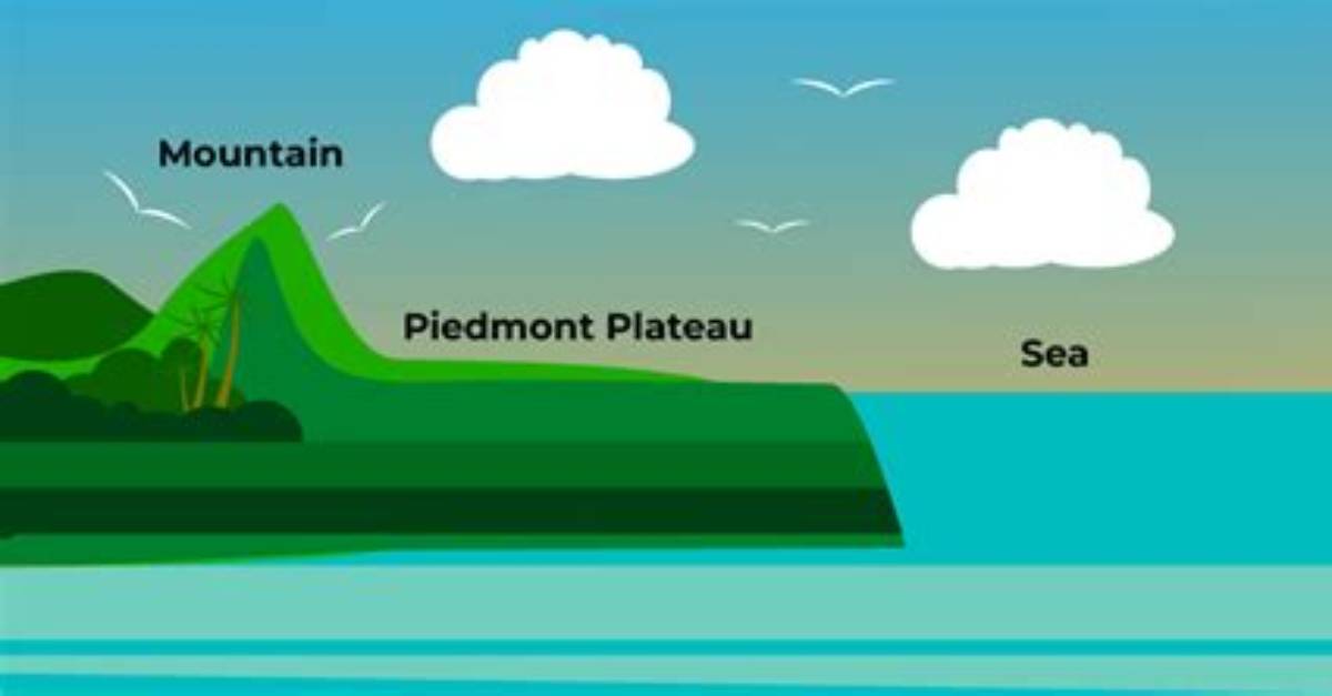 What Is Piedmont Plateau - Lisbd-Net. Com