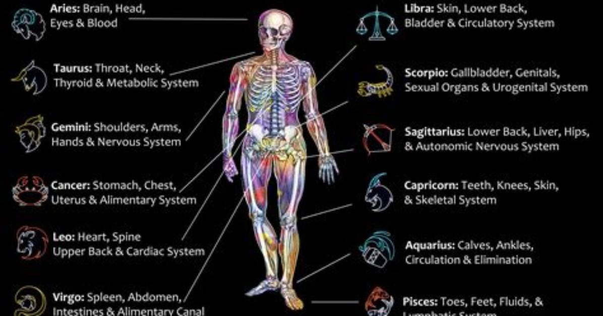 What Is Pisces Body Part?
