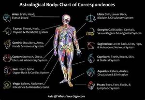 What Is Pisces Body Part?