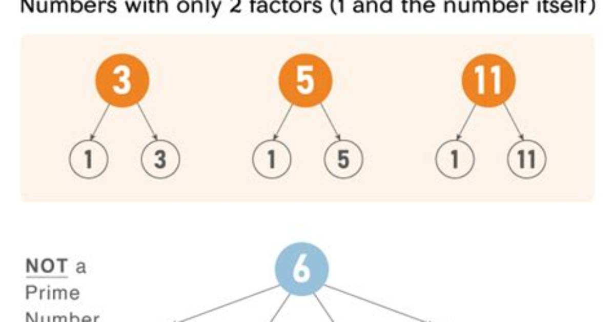 What Is Prime Number in Math?