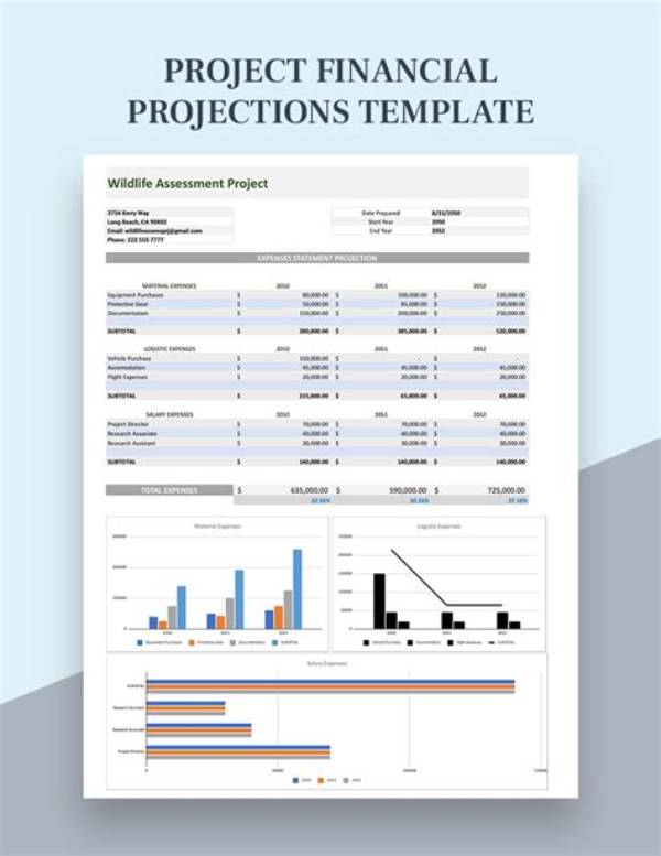 What Is Project Projection?