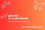 What Is Quixotic in a Sentence?