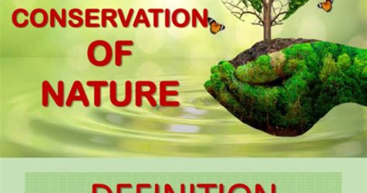 What Is Resources Conservation - Lisbd-Net. Com