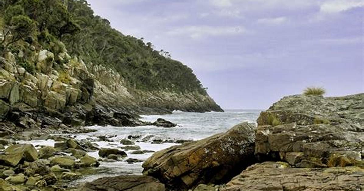 What Is Sea Coast - Lisbd-Net. Com