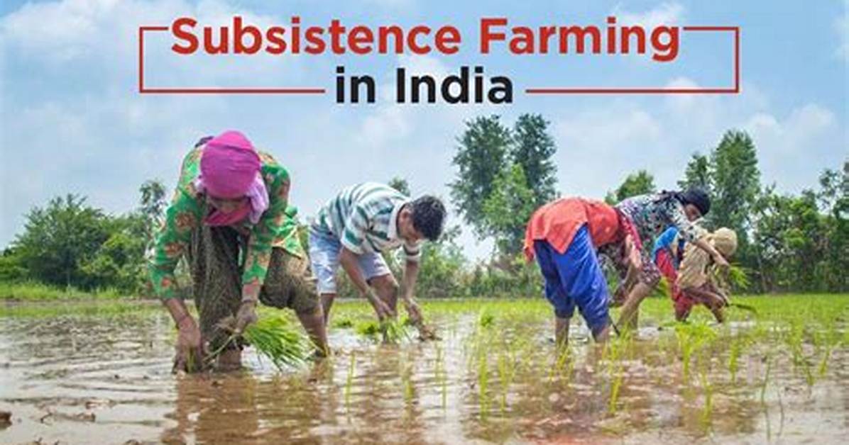 What Is Self Subsistence?
