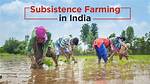 What Is Self Subsistence?