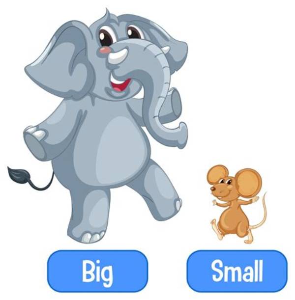 What Is Something That Is Large in Size?