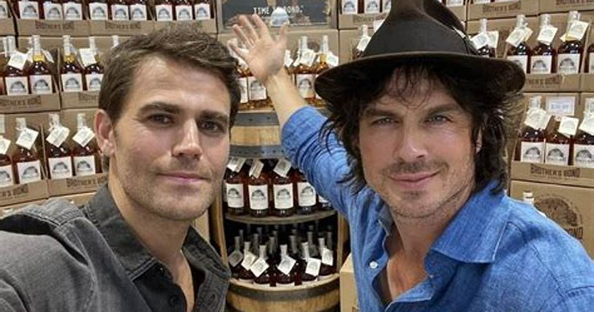 What Is Stefussy Tvd: Exploring the World of Stefussy in the Vampire Diaries