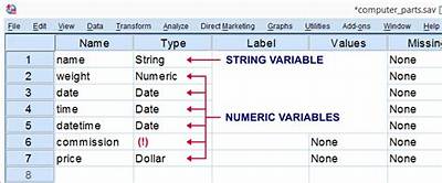 What Is String Variable in Spss?