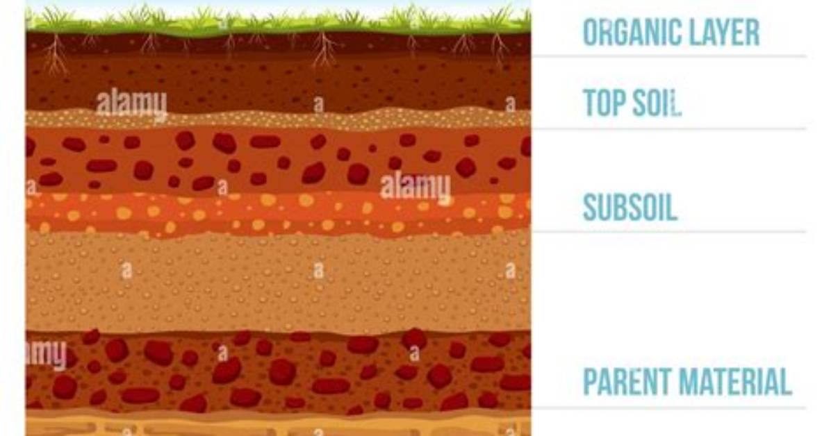 What Is Subsoil