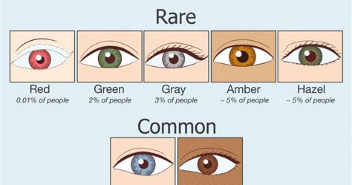 What Is the 2Nd Rarest Eye Color?
