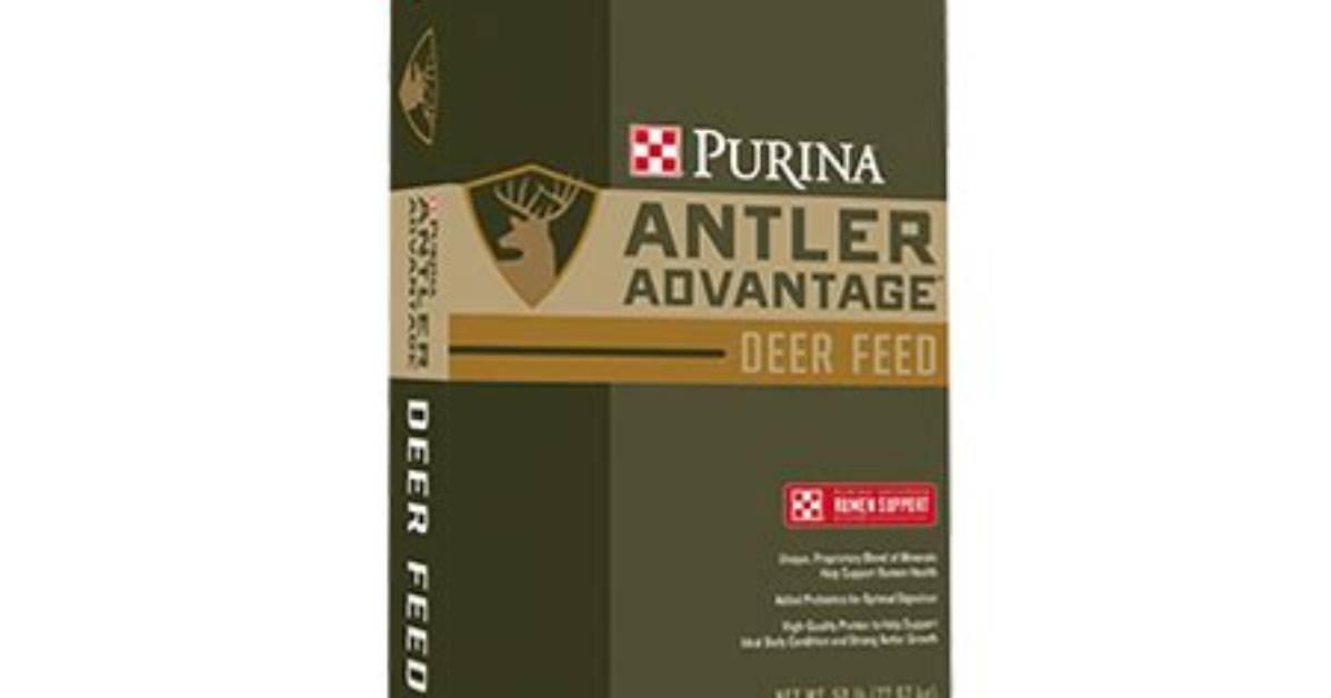 What Is the Advantage of a Mule over a Horse?