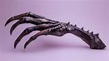 What Is the Alien Claw and Why Is It Important in “Invasion? ”