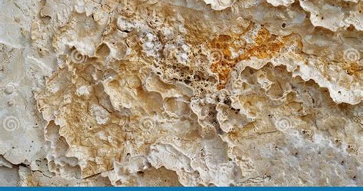 What Is the Appearance of Limestone?