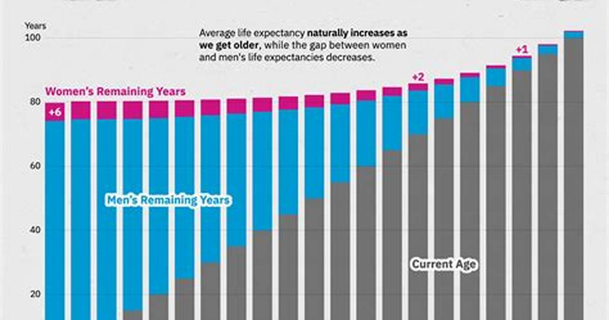 What Is the Average Life of a Commercial Building?
