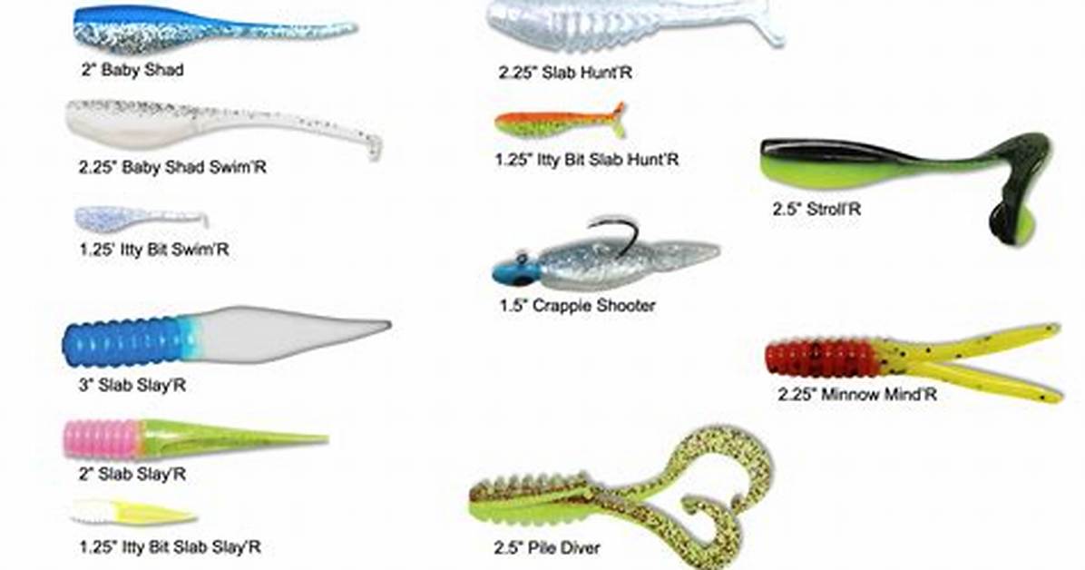 What Is the Best Crappie Bait?