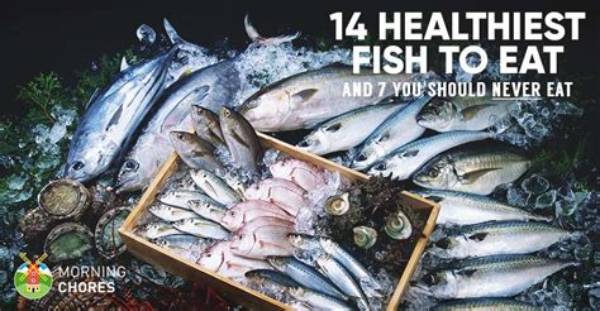 What Is the Best Fish to Eat?