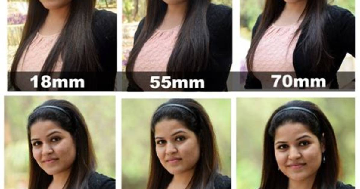What Is the Best Focal Length for Bird Photography?