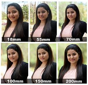 What Is the Best Focal Length for Bird Photography?