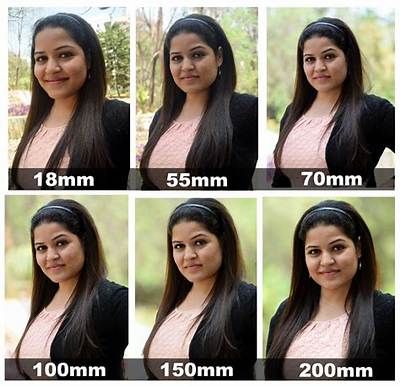 What Is the Best Focal Length for Bird Photography?