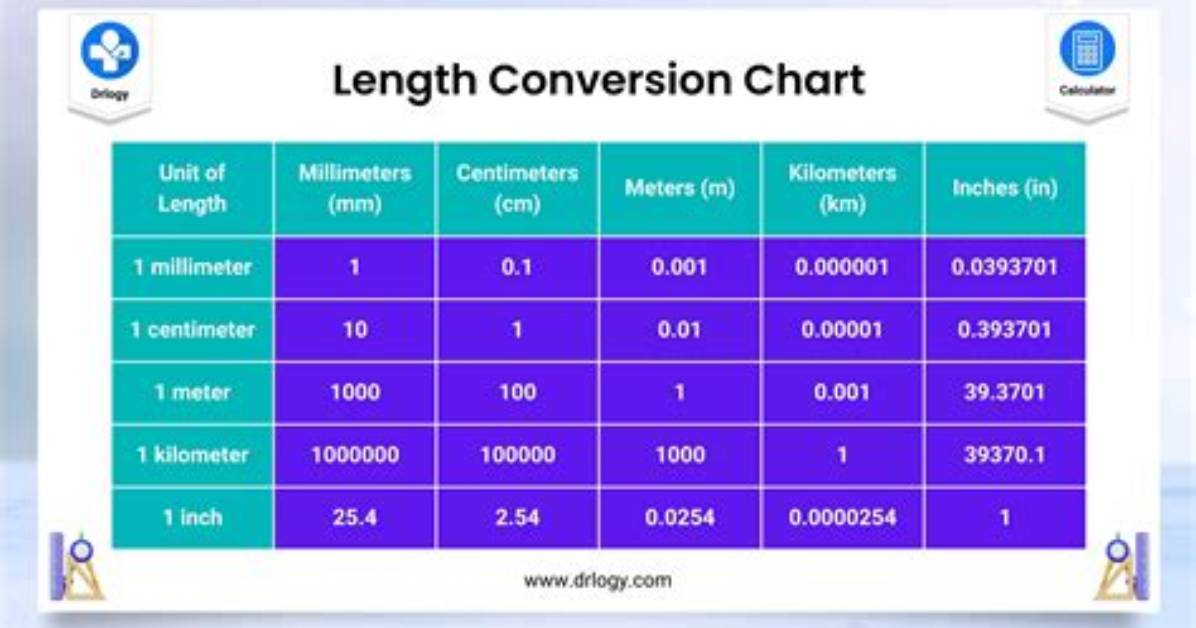 What Is the Best Length for a Shuffleboard Table?