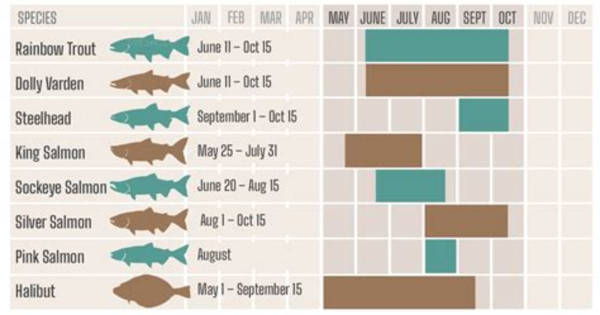 What Is the Best Month to Fish in Florida?
