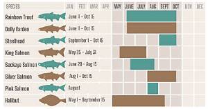 What Is the Best Month to Fish in Florida?