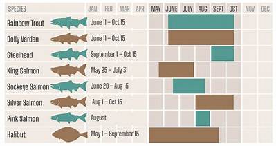 What Is the Best Month to Fish in Florida?