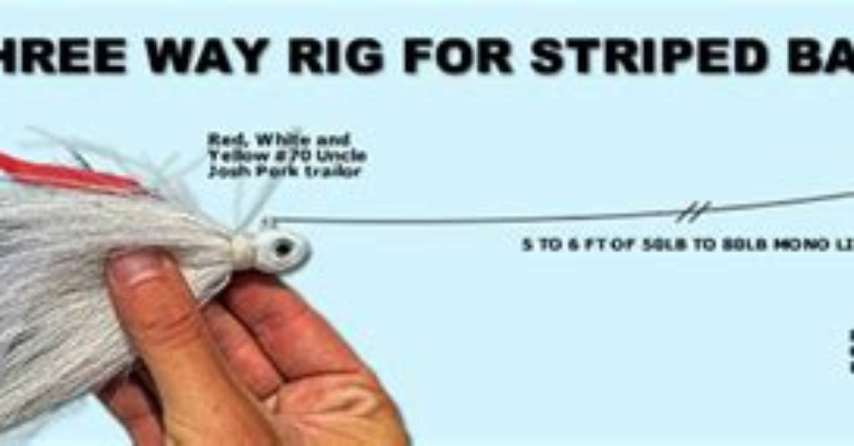 What Is the Best Rig for Striped Bass?