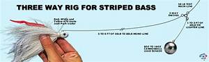 What Is the Best Rig for Striped Bass?
