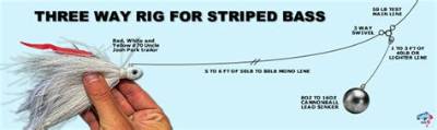 What Is the Best Rig for Striped Bass?