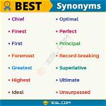 What Is the Best Synonym for Fealty?