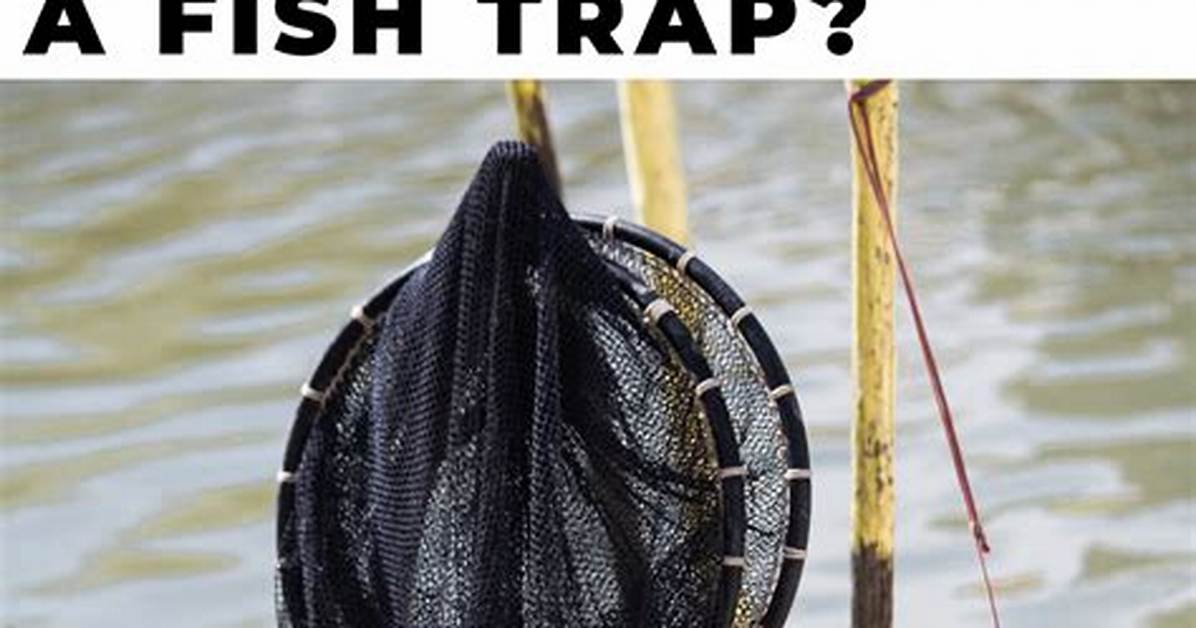 What Is the Best Thing to Put in Your Septic Tank?